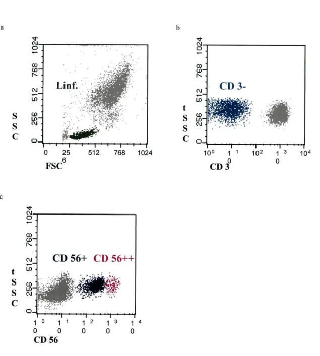 Fig. 8- Exemplo da análise sequencial realizada para o estudo das células NK. a)- Região dos linfócitos