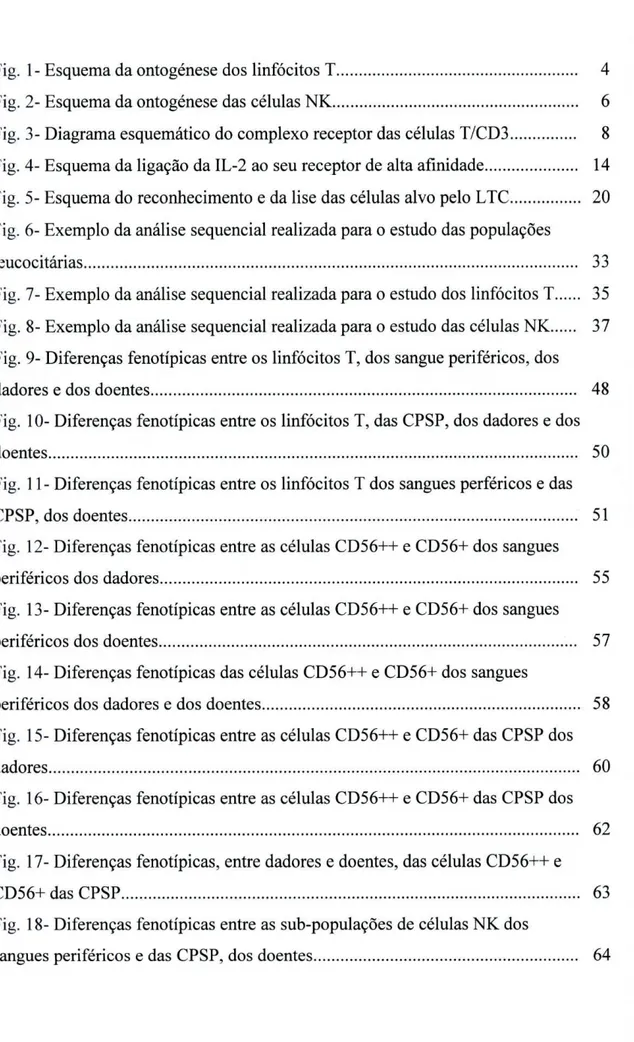 Fig. 1- Esquema da ontogenèse dos linfócitos T 4  Fig. 2- Esquema da ontogenèse das células NK 6  Fig