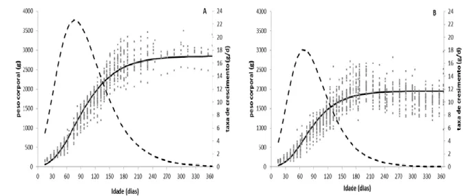 Figura 2.10. Curva de crescimento e curva da taxa de crescimento para a raça Amarela  para  machos  (A)  e  fêmeas  (B)