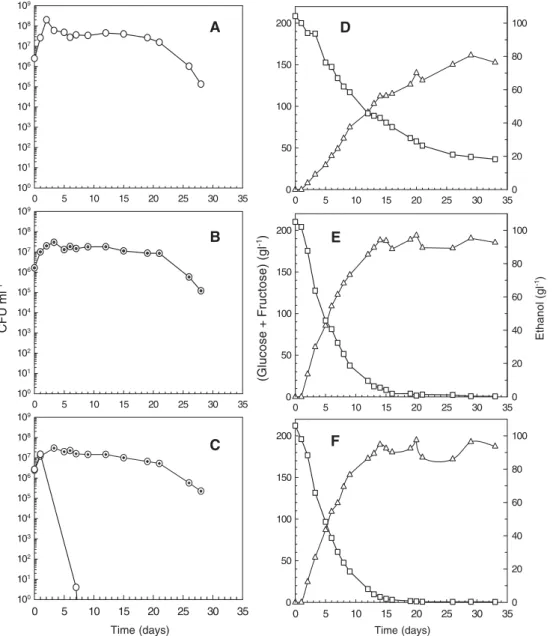 Fig. 1. Viable cells of H. guilliermondii ( ○ ) and S. cerevisiae ( ⊙ ), total sugars (glucose + fructose) consumption ( □ ) and ethanol production ( ▵ ) during single cultures of H