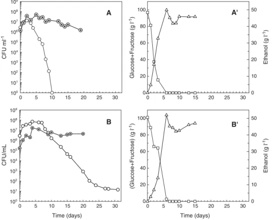 Fig. 4. Viable cells of H. guilliermondii ( ○ ) and S. cerevisiae ( ⊙ ), glucose and fructose consumption ( □ ) and ethanol production ( ▵ ) during the mixed cultures performed with 100 g l − 1 of initial total sugars at different (Sc / Hg) inoculums ratio