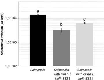 Fig. 2. Adhesion of fresh ( ) and dried ( ) Lactobacillus plantarum CIDCA 83114, L. keﬁr CIDCA 8348 and L