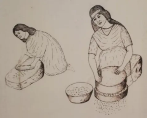 Figura 11 - Mó. © Isabel Jantarada