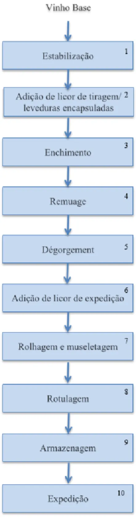 Figura 6. Fluxograma de produção do vinho espumante.  20