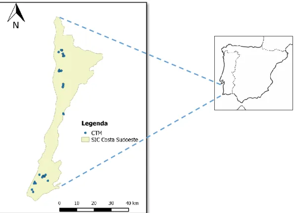 Figura 5 – Localização dos 41 Charcos Temporários Mediterrânicos (CTM) no Sítio da Costa Sudoeste