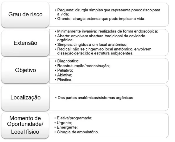 Figura 1 – Classificação do tipo de cirurgia 