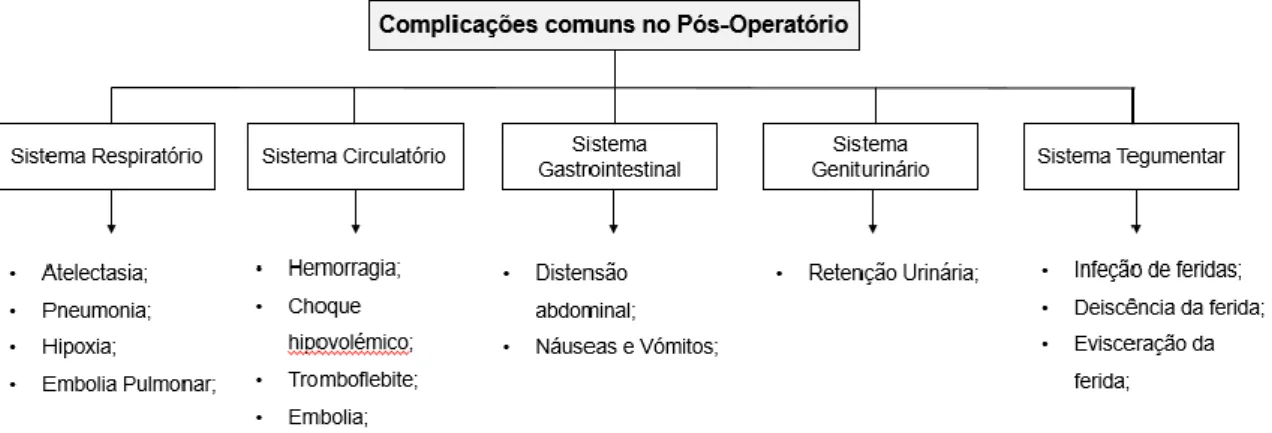 Figura 2 – Complicações comuns no Pós-Operatório, Monahan [et al.], 2010 