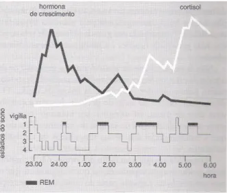 Figura 4- Padrões de secreção da hormona de crescimento e do cortisol durante o sono ( Lavie, 1998)