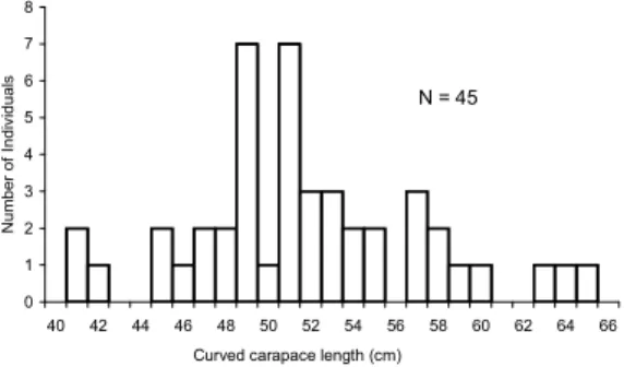 Fig.  1.  Size  distribution  (curved  carapace  length,  cm)  of loggerheads captured by the longline fisheries in the  Azores in 1998