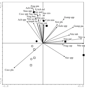 Fig. 6. PCA of frustule frequency of the diatom taxa on the glass-