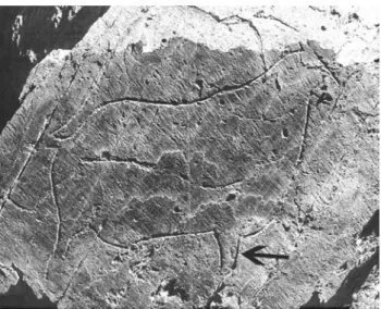 Figure 10.1. Goat motif in Penascosa Rock 5C.  