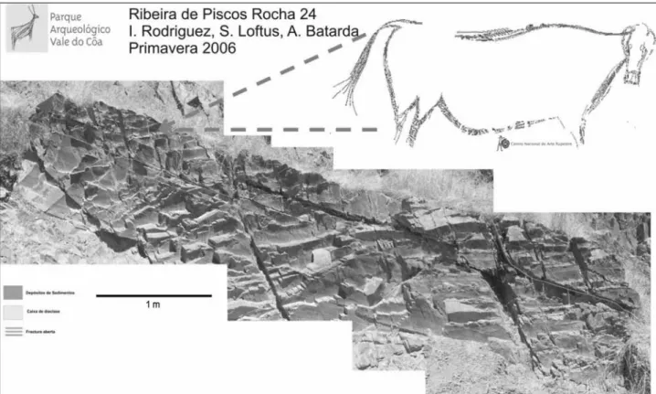 Figure 10.10. Rock 24 of Ribeira de Piscos delicate state of conservation. One of the interesting   depictions of aurochs is included in the Figure
