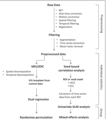 Figure 1. Flow chart of the data analysis process.