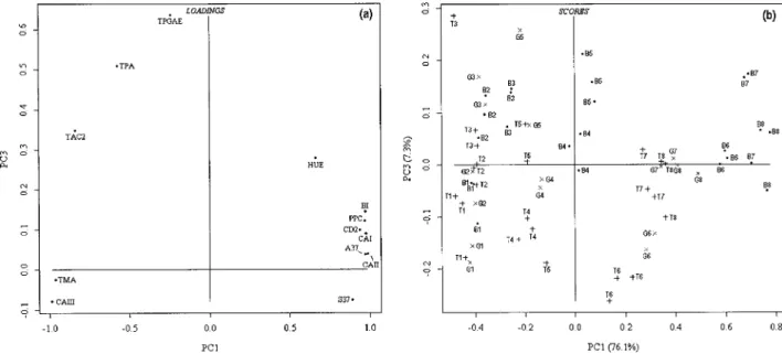 Figure 2. Principal component analysis plots (PC1 vs PC3): (a) loadings plot; (b) scores plot