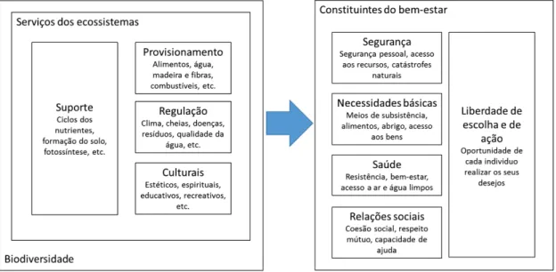 Figura 2.1 - Relação entre os serviços dos ecossistemas e o bem-estar humano  (Millennium Ecosystem Assessment, 2005) 