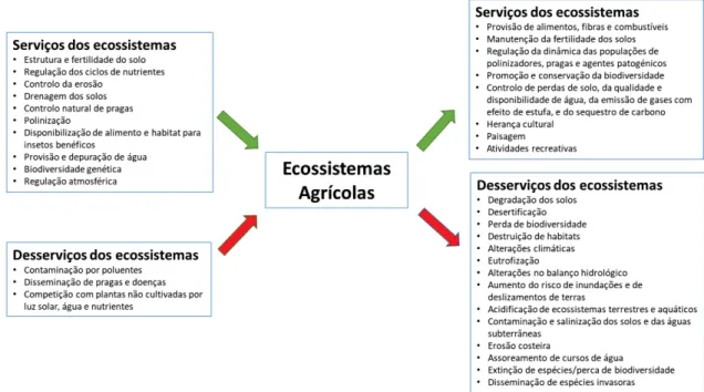Figura 2.4 - Serviços e desserviços associados aos ecossistemas agrícolas (adaptado de  Zhang et al., 2007) 