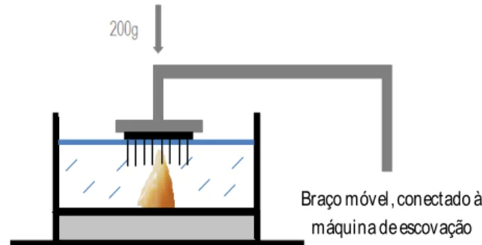 Figure 2. Containers placed on the mechanical toothbrushing machine.  
