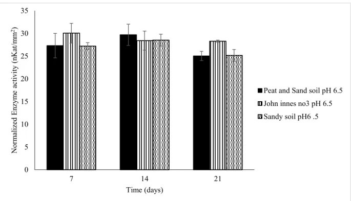 Figure  3.4:  Enzymatic  activity  of  B.  rapa  roots  calculated  using  4-MU  calibration  equations