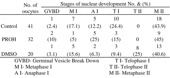 Table 8 – Nuclear development stages, after maturation.   