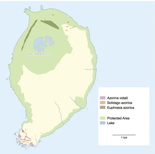 Fig. 6.  Occurrence of Azorina vidalii, Euphrasia azorica and Solidago azorica on Corvo island as assessed during  fieldwork  in  2015