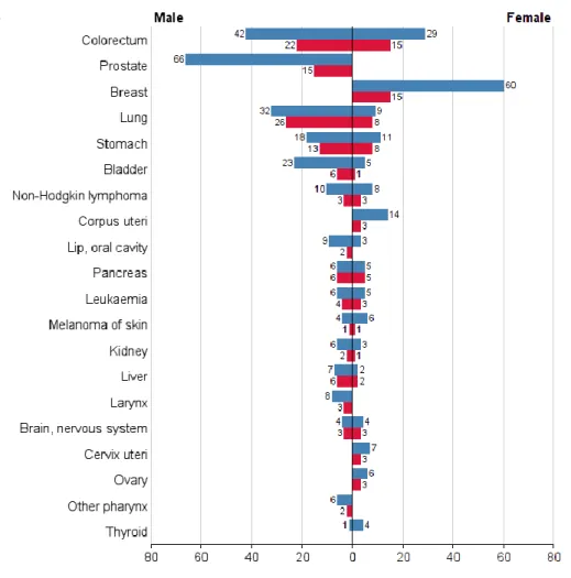 Figure 1.5 - Numbers of new cases/deaths stratified by sex in Portugal (Ferlay et al., 2013) 
