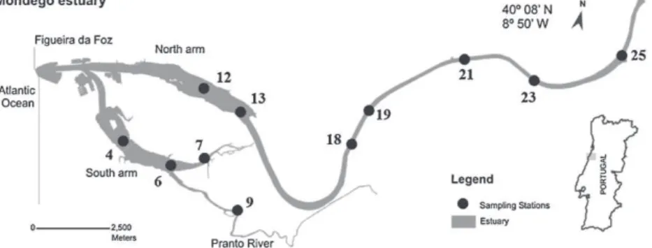Fig. 1. Mondego estuary (Portugal): station location (black circles). Areas: Euhaline (station 4), Polyhaline of the South Arm (stations 6, 7 and 9), Polyhaline of the North Arm (stations 12 and 13), Mesohaline (stations 18 and 19) and Oligohaline (station