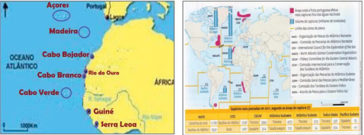 Fig. 3 – Exemplos de mapas utilizados nos estágios pedagógicos 