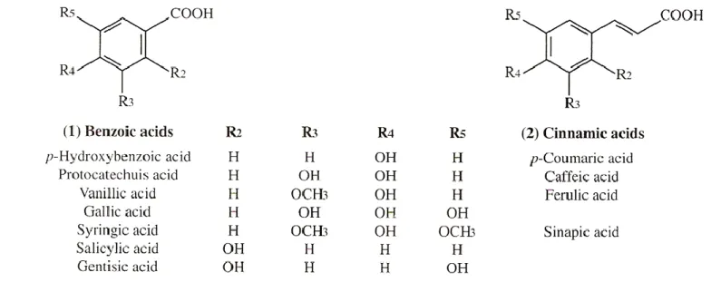 Figure 1. Phenolic acids in grapes and wine (Ribéreau-Gayon et al., 2006b) 