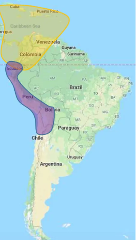 Figure 3: Map of South America with the main metallurgical traditions. Based on Bray 1971; Hosler 1988; Lechtman 1984a,  1984b; Rehren &amp; Temme 1994) 
