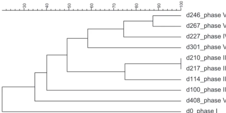 Fig. 1. DGGE communityﬁngerprint of the SBR 16S rRNA gene population. Gel lanes contain samples collected during SBR operation (days are indicated on the top of the lanes)