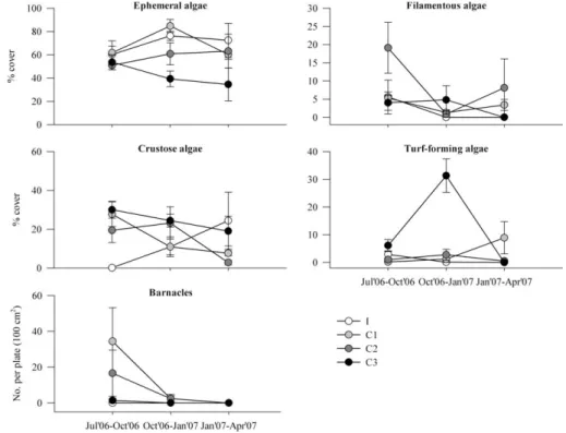 Fig. 4. Mean (+SE)% cover of lower shore conspicuous taxa on recruitment plates in the impacted and control locations.