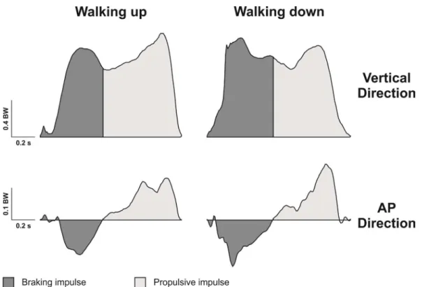 Figure 1. Vertical and anterior-posterior (AP) ground reaction forces for the walking up (left side) and walking down (right side) tasks showing  the areas corresponding to braking (dark gray) and propulsive (light gray) impulses for one participant of the