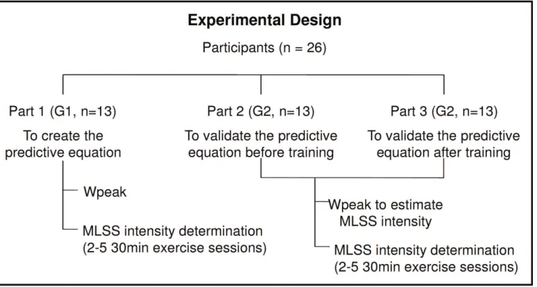 Figure 1. Overview of the experimental procedures.