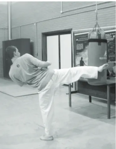 Figure 1. Round kick performed against a punching bag.