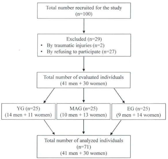 Figure 1. Flow diagram of the sample.