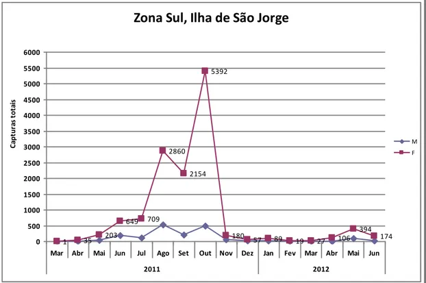 Figura 17 - Capturas totais na Zona Sul da Ilha de São Jorge dos adultos de mosca-do-Mediterrâneo  (C