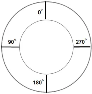 Figure 1. Schematic representation of a cross section of the aorta showing  the locations where measurements of the wall thickness were taken.