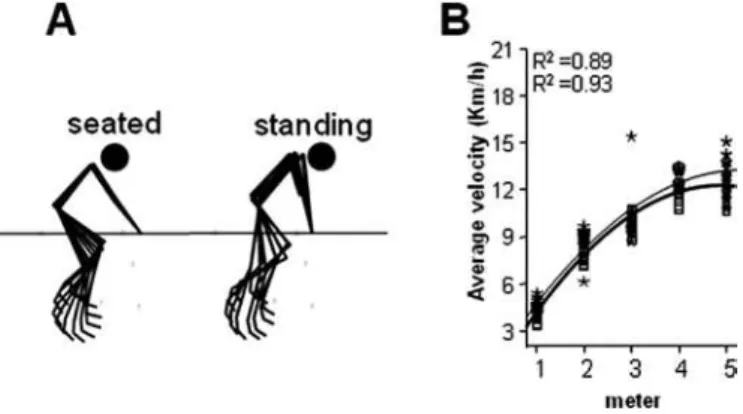 Figure 2. (A) Stick igure of body angles during a standing start in seated and  standing positions