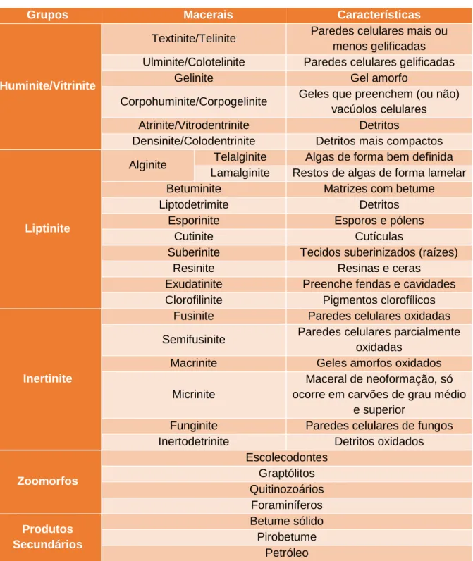 Tabela 5 – Classificação Internacional da Matéria Orgânica Dispersa (ICCP, 2001) e respetivas características