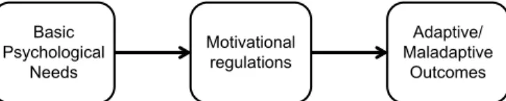Figure  1.  Main  tenets  of  self-determination  theory  (Deci  &amp;  Ryan,  1985, 2000)
