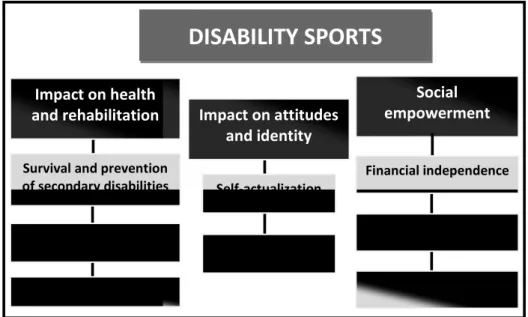 Figure 6. Implications of disability sports in an athlete’s life. 