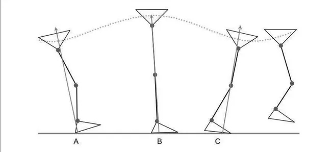 FIGURA 4  – Deslocamento do centro de massa corporal (linha pontilhada), alinhamento do membro  inferior  e  posicionamento  do  vetor  vertical  da  força  de  reação  do  solo  (seta)  durante  o  ciclo  da  marcha