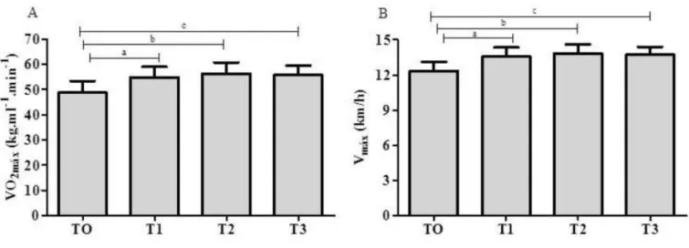 Figure 5. O2MAX and VMAX during the periodization. 