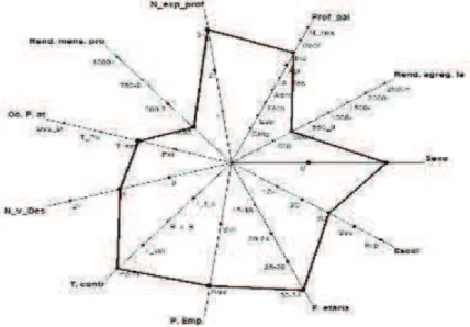 Figura 3: Gráfico Zoom star (2D) - E. casa 