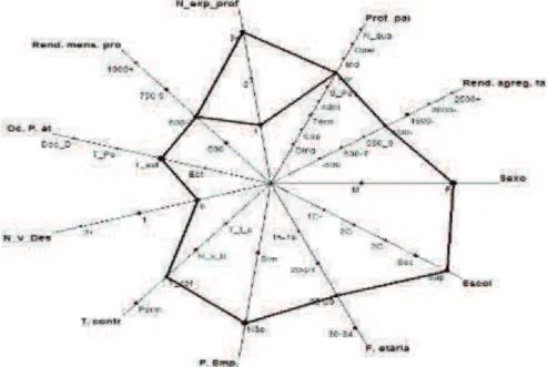 Figura 5: Gráfico Zoom star (2D) - Outra Forma 