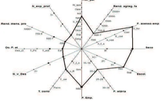 Figura 9: Gráfico Zoom star (2D)- Cluster 4 