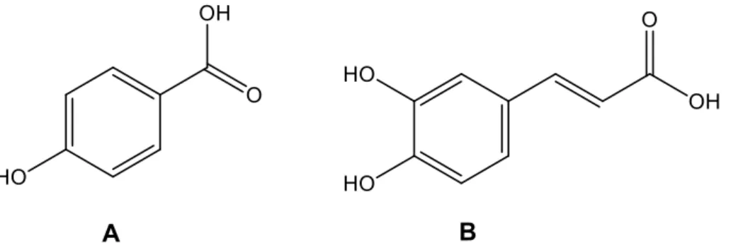 Figura 8. Estrutura química do ácido p-hidroxibenzóico (A) e do ácido cafeico (B). 