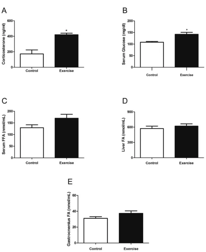 Figure 2. (A) Serum corticosterone concentrations after a single exhaustive resistance exercise session