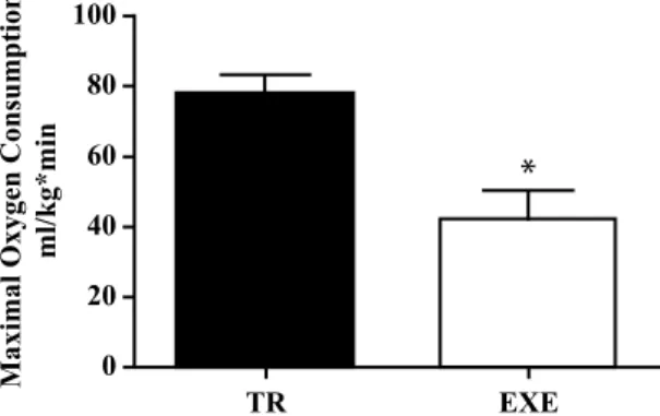 Figure 1: Maximal oxygen consumption in animals exercised for eight  weeks (TR) and a single aerobic exercise session (EXE)