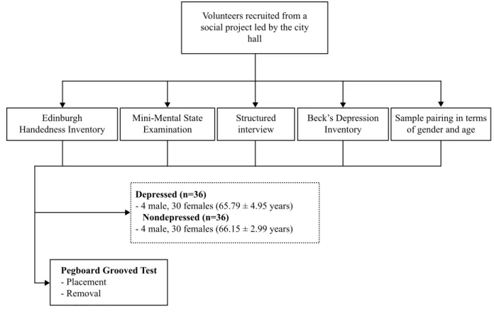 Figure 1. Flowchart overview of sample selection and experimental procedures.